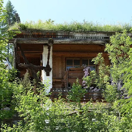 Alm Planai * Schladming